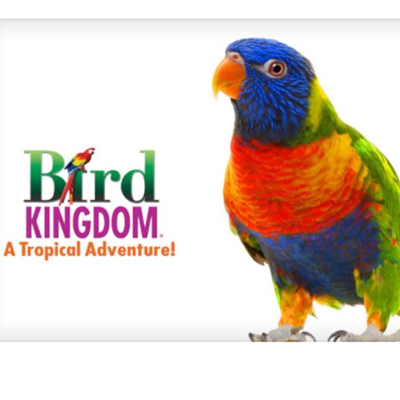 Four (4) Individual Passes for Bird Kingdom in Niagara Falls, Canada - Picture 1 of 5
